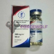 Testoged-P 100mg (Тестогед-П), Golden Dragon