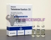 Testosterone Enanthate 250mg (Тестостерон Энантат) 10 амп, Aburaihan Iran