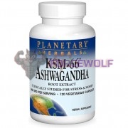 Ashwagandha [Ашваганда] (300 мг x 120 капс), Planetary Herbals