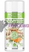 Gold [Куркумин] (60 капс), Scitec Nutrition