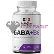 GABA [ГАБА] (500 мг x 90 капс), Dr. Hoffman