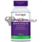 Ginkgo [Гинкго Билоба] (120 мг x 60 капс), Natrol
