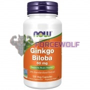 Ginkgo [Гинкго Билоба] (120 капс), NOW Foods
