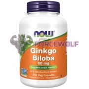 Ginkgo [Гинкго Билоба] (60 мг x 240 капс), NOW Foods