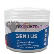 Genius [Фенилпирацетам] (10 гр x 100 порций), Noolect