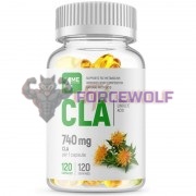 CLA (740 мг x 120 капс), 4Me Nutrition