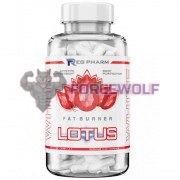 Lotus White (90 капс), Regeneration Pharm