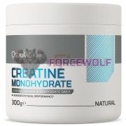 Creatine Monohydrate [Powder] (300 гр), OstroVit