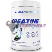 Creatine Muscle Max (500 гр: 83 порций), AllNutrition