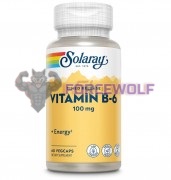 Vitamin B-6 [Timed Release] (60 шт по 100 мг), Solaray