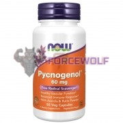 Pycnogenol® (50 шт по 60 мг), NOW Foods
